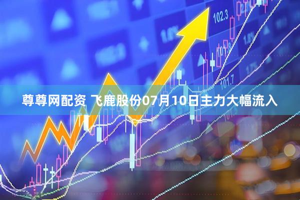 尊尊网配资 飞鹿股份07月10日主力大幅流入