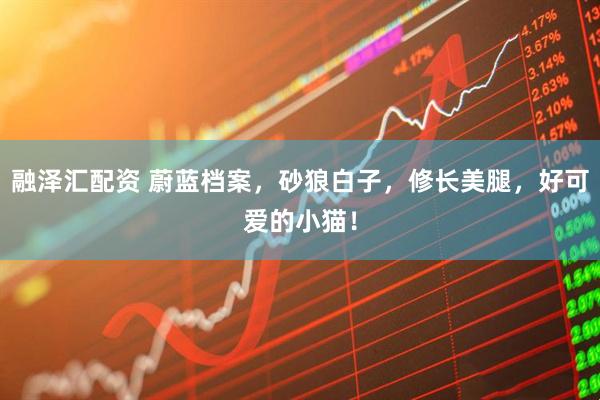 融泽汇配资 蔚蓝档案，砂狼白子，修长美腿，好可爱的小猫！